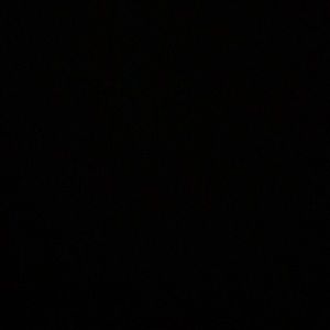 Meet your Posher, Jillian